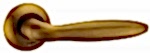 PUNTO BASIS CF 